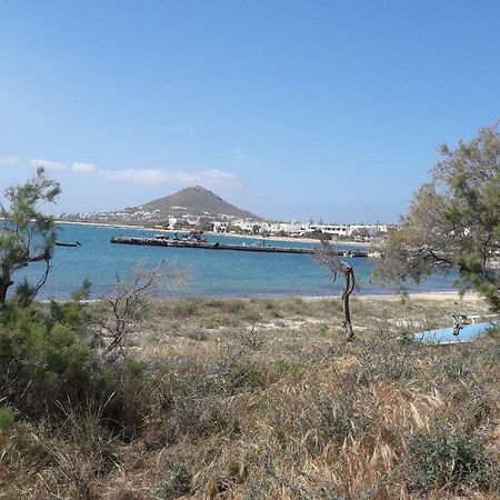 Chez Irene Sweet Pension Naxos City Kültér fotó